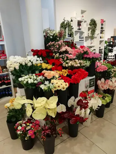 Kwiaciarnia "Aga Flowers"